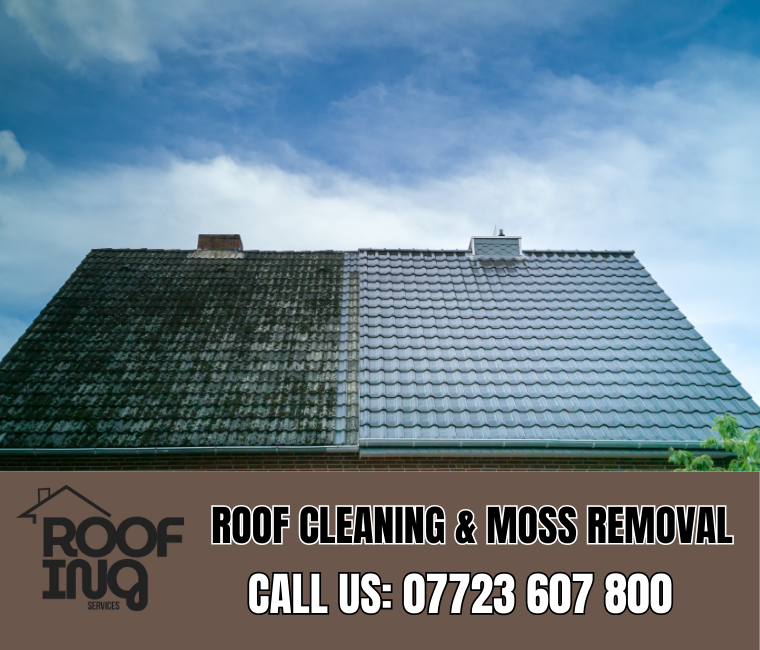 Roof cleaning and moss removal in Newquay